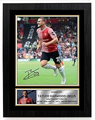 Taylor harwood bellis for sale  Delivered anywhere in UK