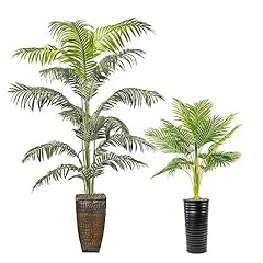 Two plant bundle for sale  Delivered anywhere in USA 