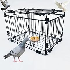Dsqstmr pigeon trap for sale  Delivered anywhere in USA 