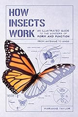 Insects work illustrated for sale  Delivered anywhere in UK