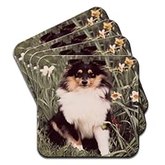 Shetland sheepdog field for sale  Delivered anywhere in UK