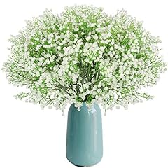 Beferr pcs gypsophila for sale  Delivered anywhere in Ireland