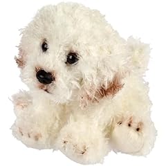Doodle caniche bichon d'occasion  Livré partout en Belgiqu