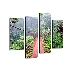 Bridge monteverde rainforest for sale  Delivered anywhere in USA 