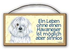 Vie bichon havanais d'occasion  Livré partout en Belgiqu