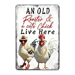 Kiyoyo cute chicken for sale  Delivered anywhere in USA 