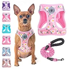 Beautyzoo step dog for sale  Delivered anywhere in USA 