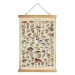 Xiaoaika vintage mushroom for sale  Delivered anywhere in USA 