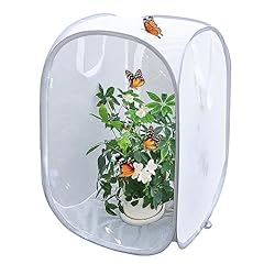 Pop insect butterfly for sale  Delivered anywhere in USA 