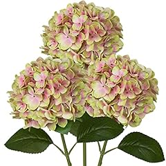 Dilatata fake hydrangeas for sale  Delivered anywhere in USA 