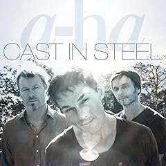 Cast steel d'occasion  Livré partout en France