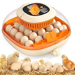 2024 upgrade egg for sale  Delivered anywhere in USA 