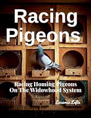 Racing pigeons racing for sale  Delivered anywhere in USA 