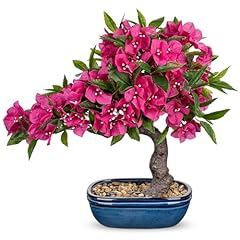Briful artificial bougainville for sale  Delivered anywhere in USA 