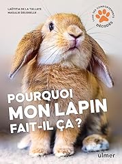 Lapin d'occasion  Livré partout en France