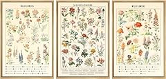 3pcs vintage wildflowers for sale  Delivered anywhere in USA 