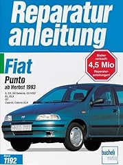 Fiat punto herbst gebraucht kaufen  Wird an jeden Ort in Deutschland