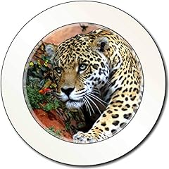 Advanta group jaguar for sale  Delivered anywhere in UK