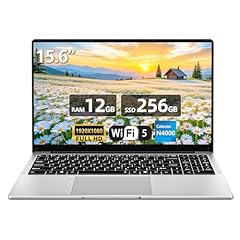 Portatile pollici computer usato  Spedito ovunque in Italia 