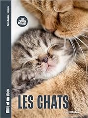 Chats docs poster d'occasion  Livré partout en France