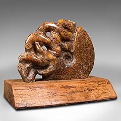 fossile ammonite d'occasion  Livré partout en France