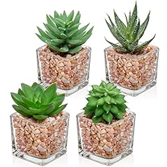 Briful succulents fake for sale  Delivered anywhere in USA 