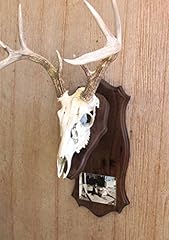 Taxidermists woodshop black for sale  Delivered anywhere in USA 