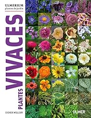 Plantes vivaces d'occasion  Livré partout en France