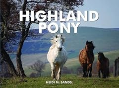 Spirit highland pony for sale  Delivered anywhere in UK