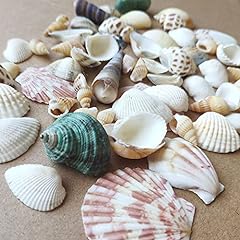 Shells mixed natural for sale  Delivered anywhere in Ireland