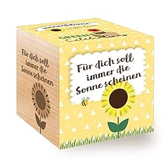 Celebrations ecocube sonnenblu gebraucht kaufen  Wird an jeden Ort in Deutschland