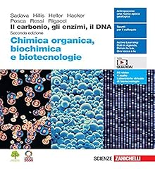 Carbonio gli enzimi usato  Spedito ovunque in Italia 