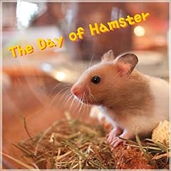 Dancing hamster for sale  Delivered anywhere in USA 