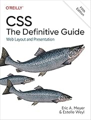 Css the definitive usato  Spedito ovunque in Italia 