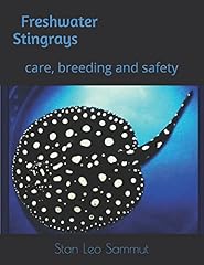 Freshwater stingrays care for sale  Delivered anywhere in USA 