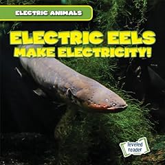 Electric eels make for sale  Delivered anywhere in USA 