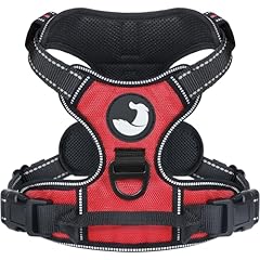 Joytale pull dog for sale  Delivered anywhere in UK