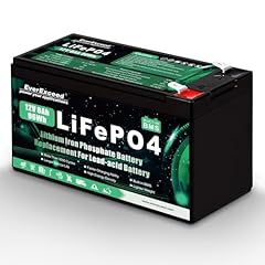 Batteria lifepo4 12v usato  Spedito ovunque in Italia 