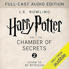 Harry potter chamber for sale  Delivered anywhere in UK
