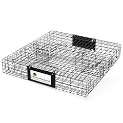 Rugged ranch squirrel for sale  Delivered anywhere in USA 