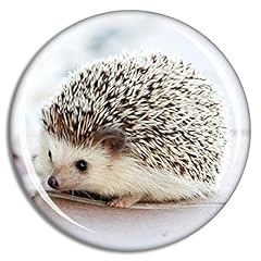 Fridge magnet hedgehog for sale  Delivered anywhere in USA 