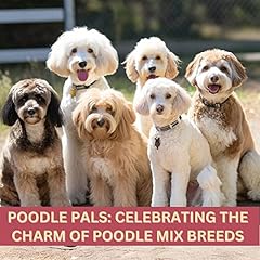 Poodle pals celebrating for sale  Delivered anywhere in USA 