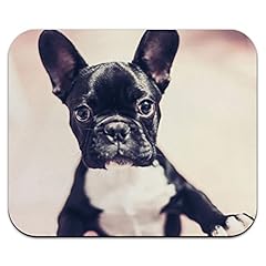 French bulldog puppy for sale  Delivered anywhere in USA 