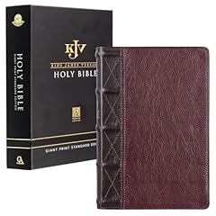 Kjv holy bible for sale  Delivered anywhere in USA 