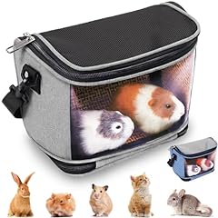 Buluer guinea pig for sale  Delivered anywhere in USA 
