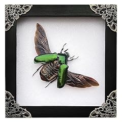 Real framed green for sale  Delivered anywhere in UK