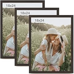 Momentworth 18x24 frame for sale  Delivered anywhere in USA 