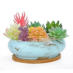 Artketty succulent pots for sale  Delivered anywhere in USA 