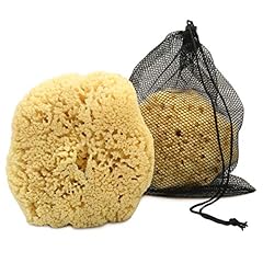 Real sea sponge for sale  Delivered anywhere in UK