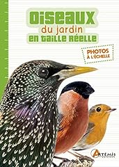 Oiseaux jardin taille d'occasion  Livré partout en Belgiqu